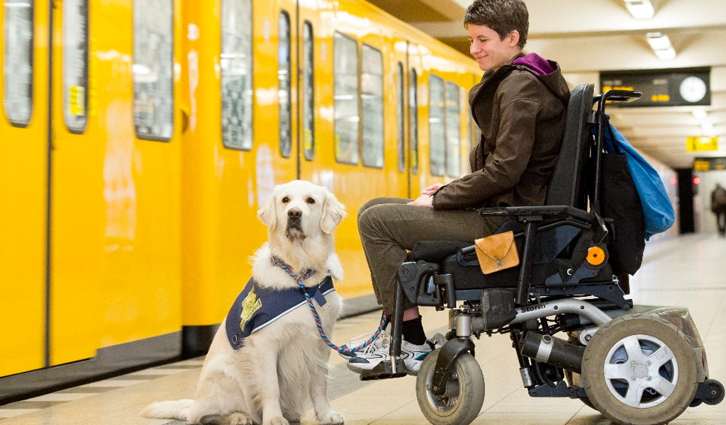 „Hunde für Handicaps", Verein für Behinderten-Begleithunde e.V., Berlin